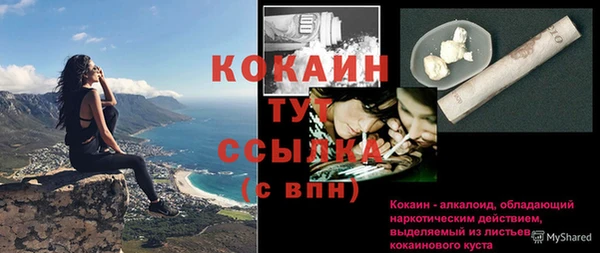 соль курить ск Пересвет