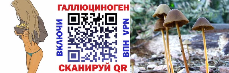 Псилоцибиновые грибы мицелий Беломорск