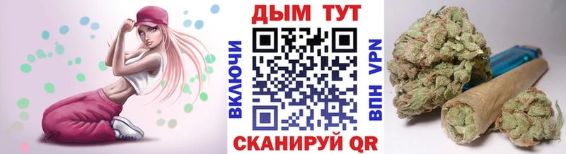Конопля OG Kush  Беломорск 